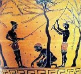 Harvesting Olives: 500BC